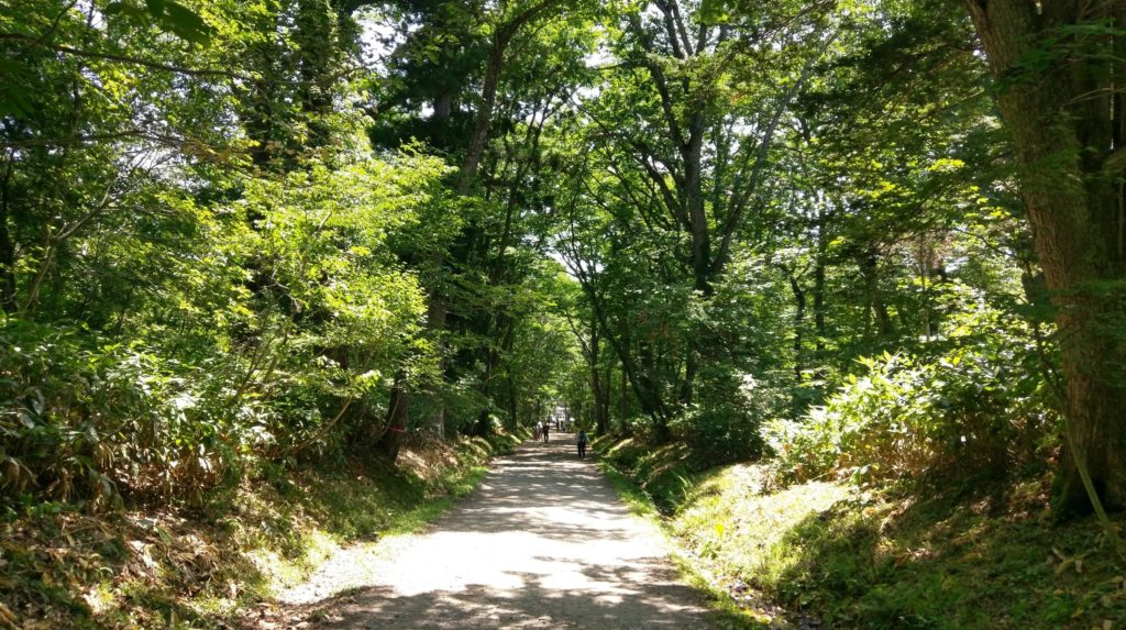 【画像】戸隠神社の道