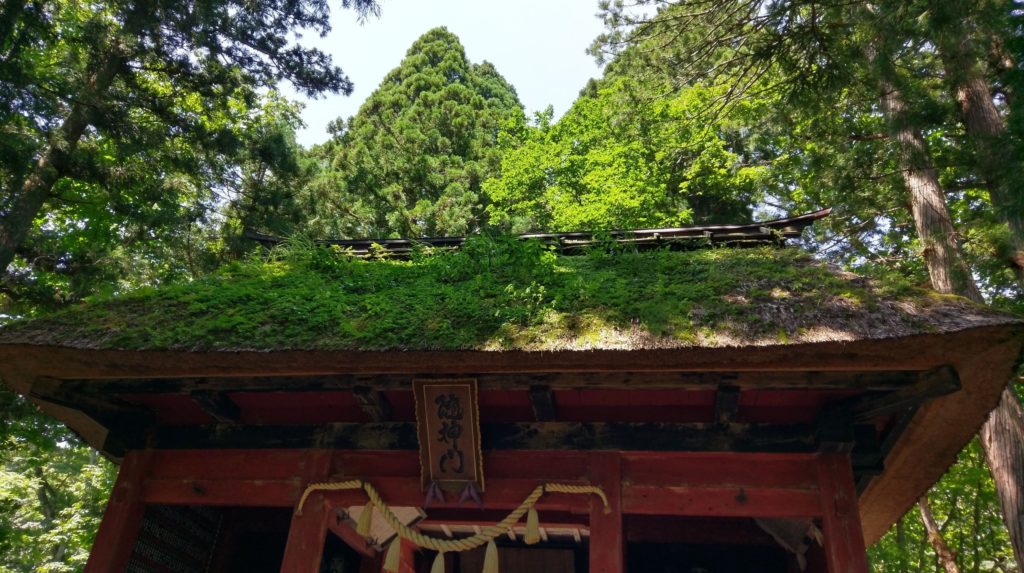 【画像】戸隠神社の風情ある建物のコケ。長野帰省